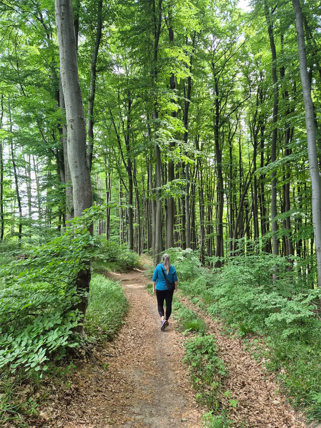 Frau geht auf einem Waldweg für eine individuelle Energetik-Sitzung